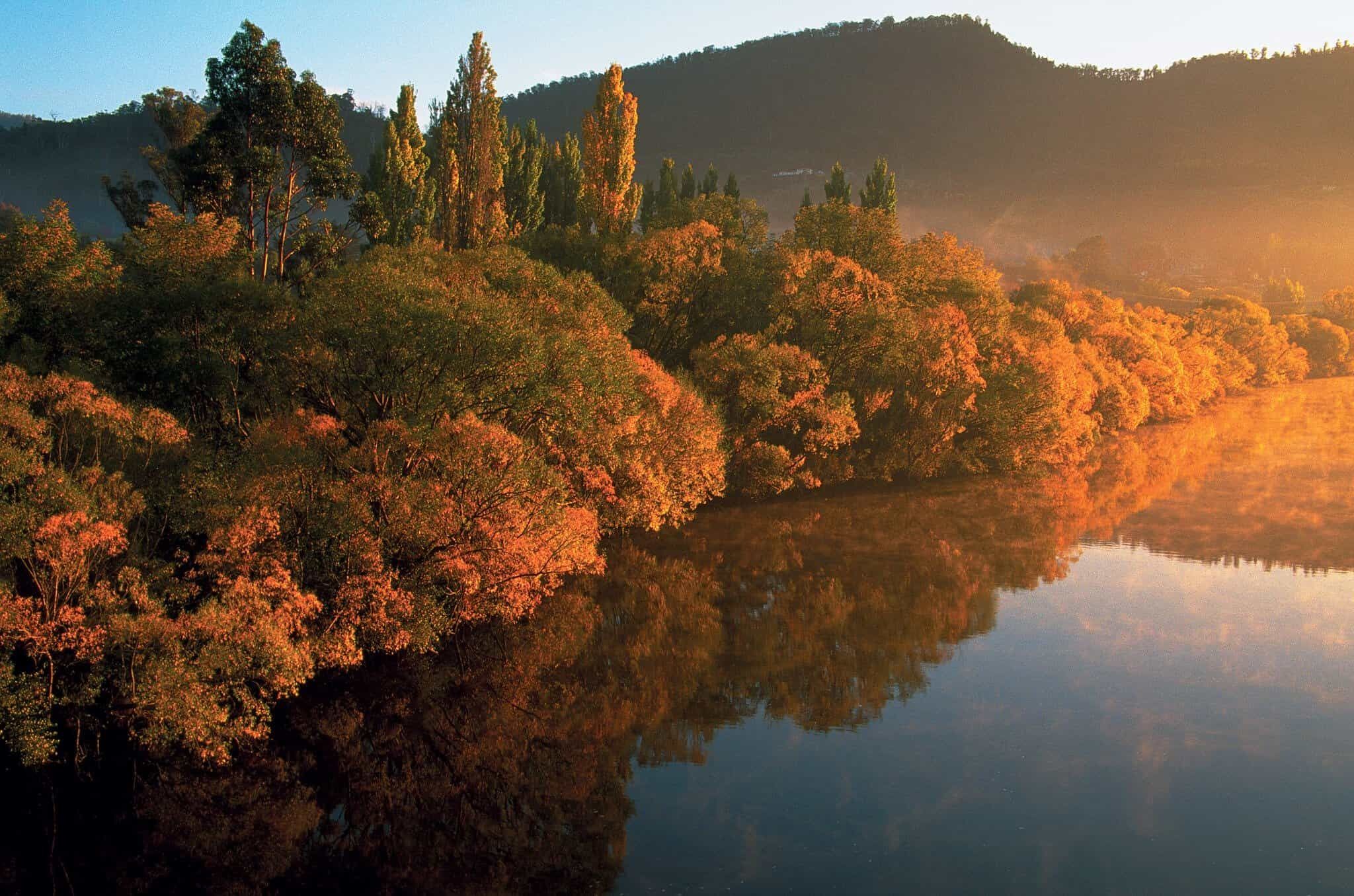 Tasmanian Heartlands Experience tour