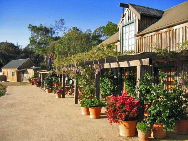 Kates Berry Farm, old wood farm shed converted into a shopfront with vines growing over the verandah