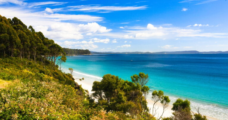 Adventure Bay, Bruny Island, a beautiful light blue beach with gums lining the shore.