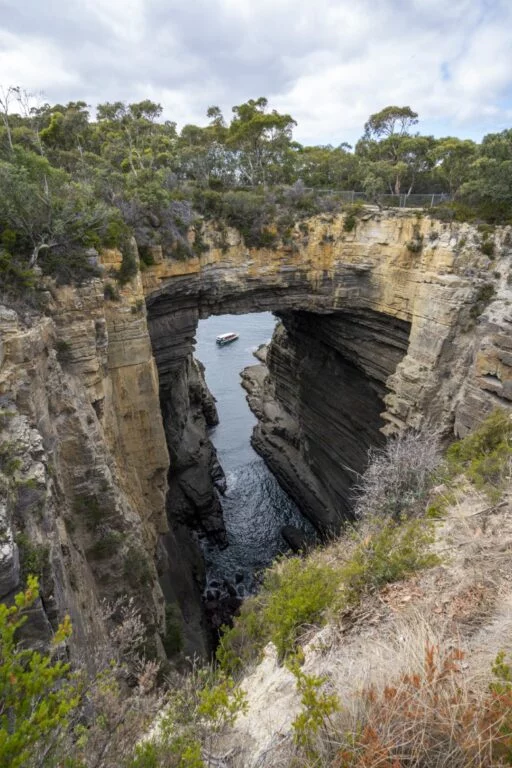 Learn about how the Tasman Arch, A natural arch caused by seawater erosion, was formed on this private geology tour