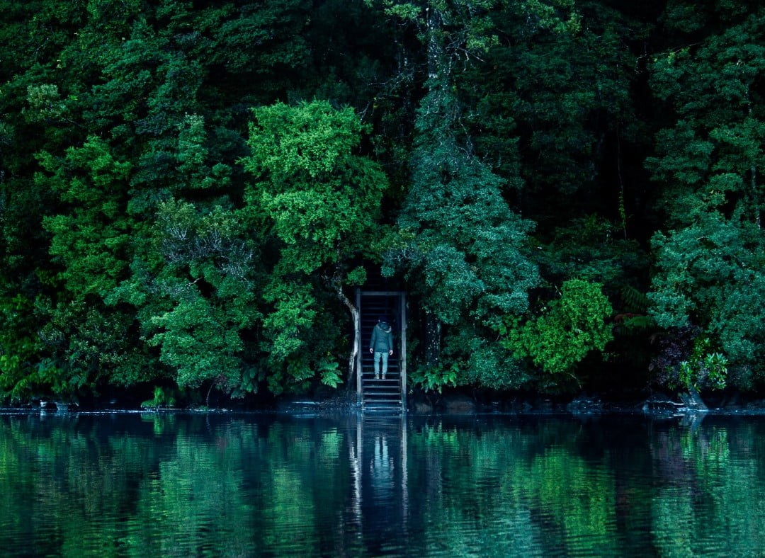 Pieman River, A person stands within a frame with stairs leading to the waters edge, surrounded by rainforest