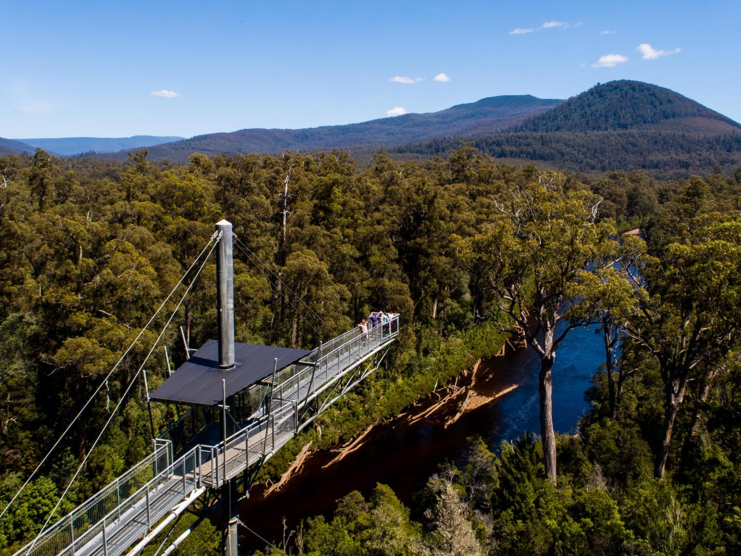 Our day tour highlight is the cantilever over the Tahune rainforest