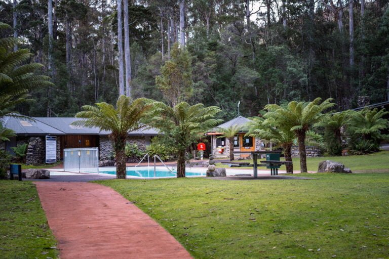 The swimming pool is thermally heated by nature and sits amongst a beautiful cool temperature rainforest