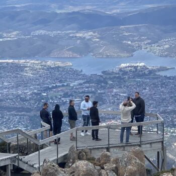 Enjoy a birds eye view from the Mount Wellington on your private tour