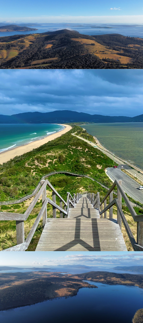 Discover Tasmania's Hidden Treasures on our immersive tours